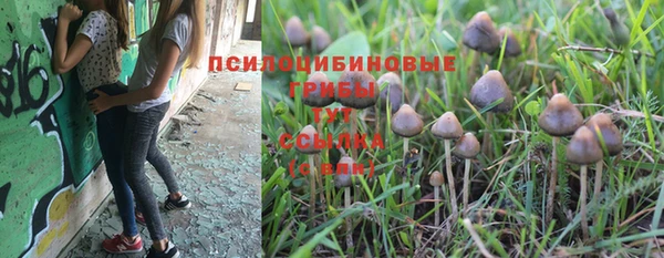 гашишное масло Володарск
