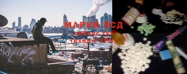 амф Верхний Тагил